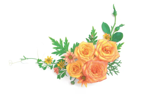 Yellow Roses White Background — Stock Photo, Image