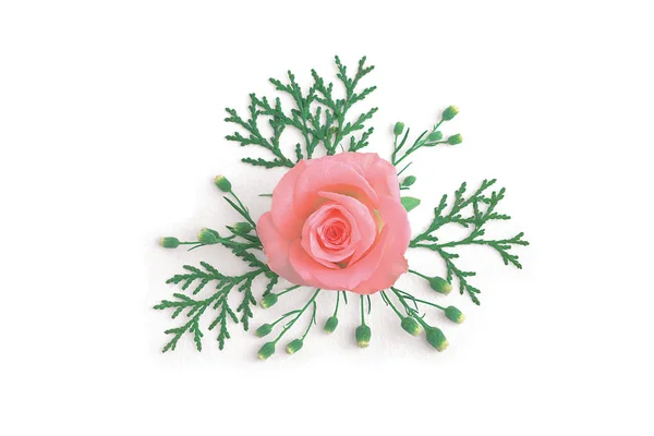 Розовая Роза Белом Фоне — стоковое фото