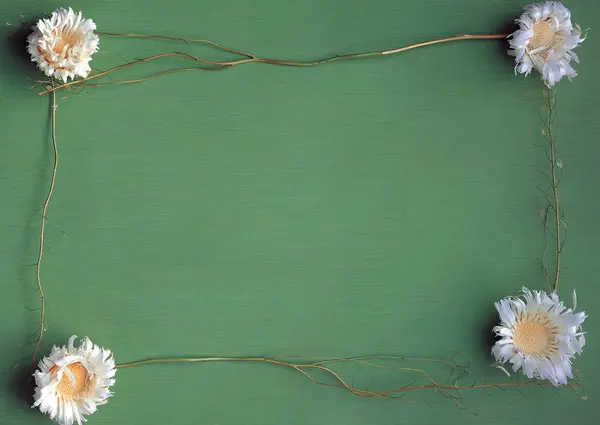 Frame Flowers Leaves — Stock Photo, Image