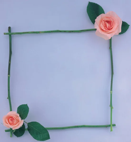 Frame of Flowers and Leaves