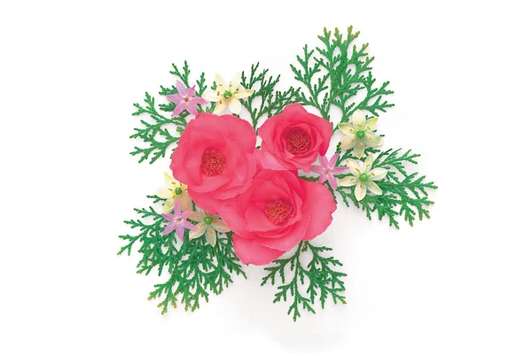 Розовые Розы Белом Фоне — стоковое фото