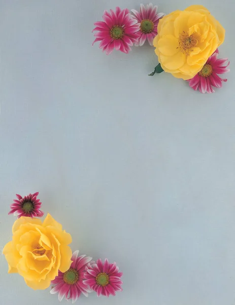 Πλαίσιο Της Λουλούδια Και Φύλλα — Φωτογραφία Αρχείου