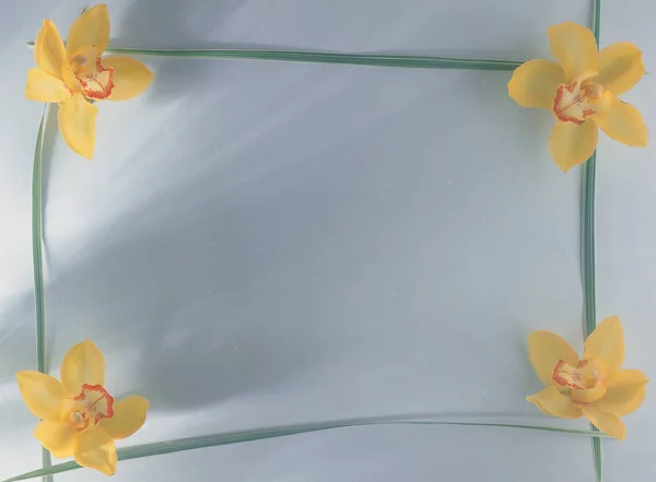 กรอบของดอกไม และใบไม — ภาพถ่ายสต็อก