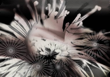 Soyut tasarımda modern kolaj, birden fazla katman arkaplan 