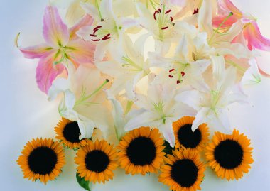 Çiçeklerin yakın görüntüsü