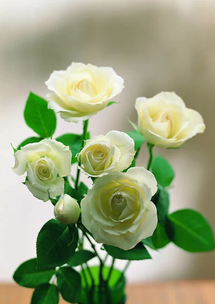 Vista Perto Rosas Brancas — Fotografia de Stock