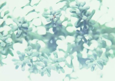 Arkaplan için renkli biçim, yakın çekim 