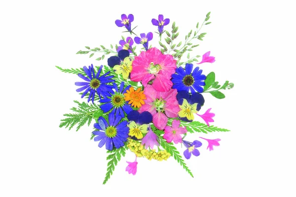 Close Van Kleurrijke Bloeiende Bloemen Geïsoleerd Witte Achtergrond — Stockfoto