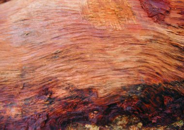 ahşap dokunun yakın çekim görünümü