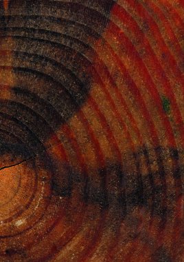 ahşap dokunun yakın çekim görünümü