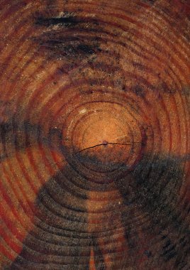 ahşap dokunun yakın çekim görünümü