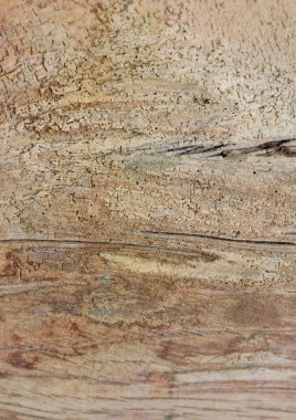 ahşap dokunun yakın çekim görünümü