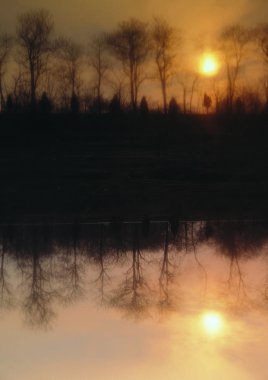 Romantik tema için renkli parlak arkaplan