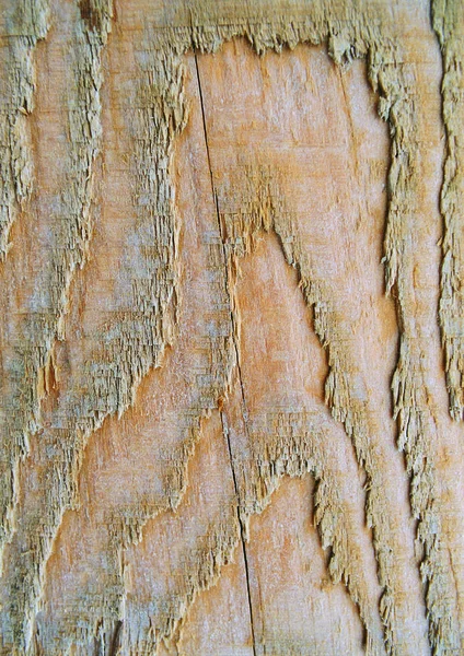 木製の質感のクローズアップビュー — ストック写真