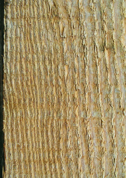 Vue Rapprochée Texture Bois — Photo