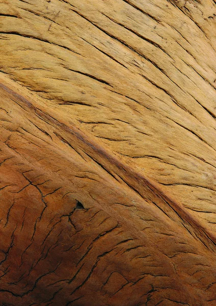 Vista Cerca Textura Madera — Foto de Stock