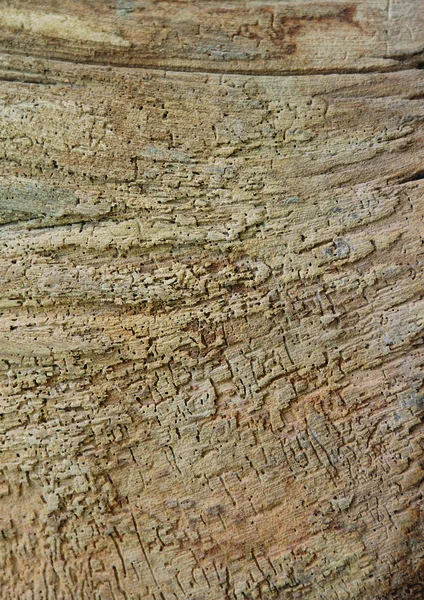 Vista Ravvicinata Della Texture Legno — Foto Stock