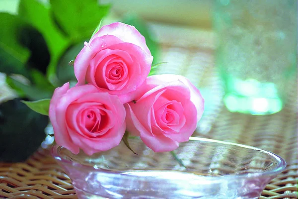 Fechar Buquê Rosas Florescentes — Fotografia de Stock