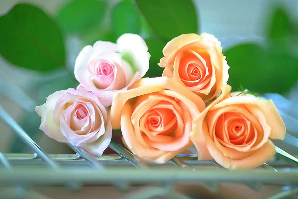 Κοντινό Πλάνο Της Ανθισμένης Ανθοδέσμης Τριαντάφυλλα — Φωτογραφία Αρχείου