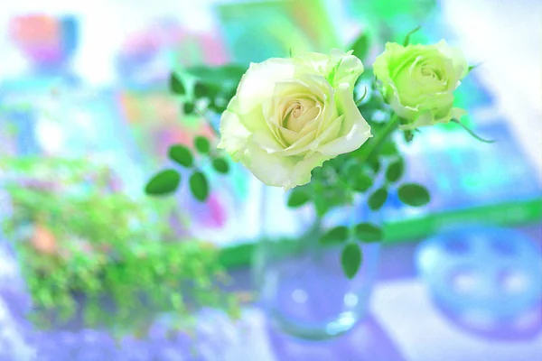 Closeup Blossoming Roses Bouquet — Stock Photo, Image