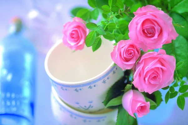 Gros Plan Bouquet Roses Fleurs — Photo