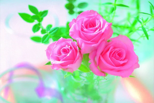Gros Plan Bouquet Roses Fleurs — Photo