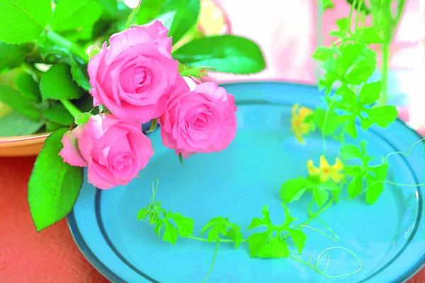 Fechar Buquê Rosas Florescentes — Fotografia de Stock