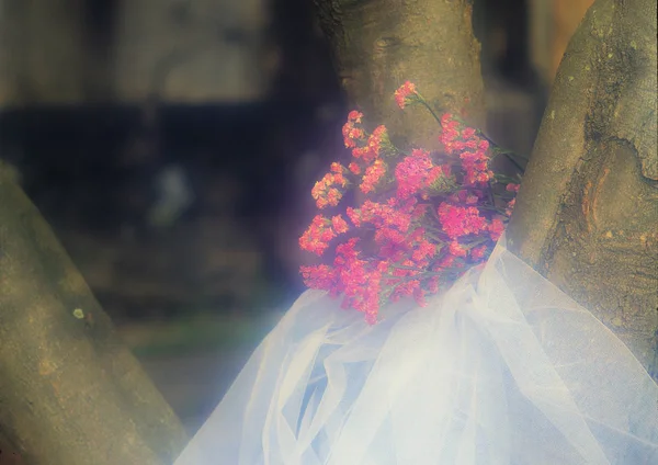 Fond Lumineux Coloré Pour Thème Romantique — Photo