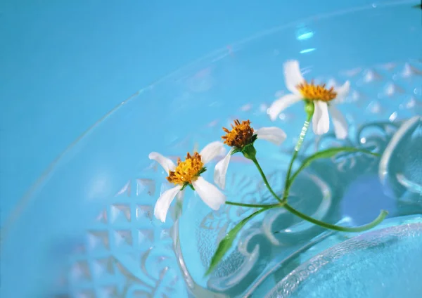 Vue Rapprochée Des Fleurs Verre — Photo