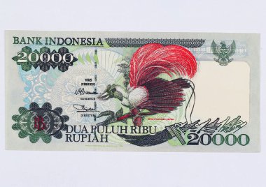 Arka planda Endonezya tasarısı