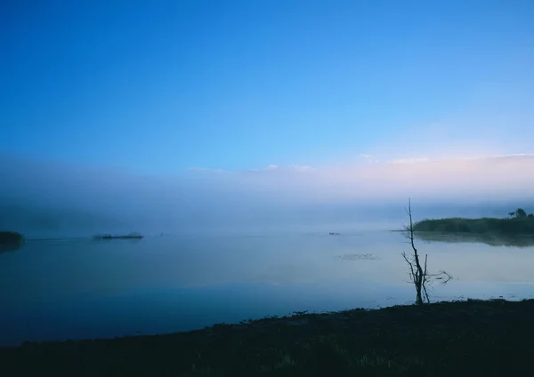Csodálatos Kilátás Ködös Hajnalban — Stock Fotó