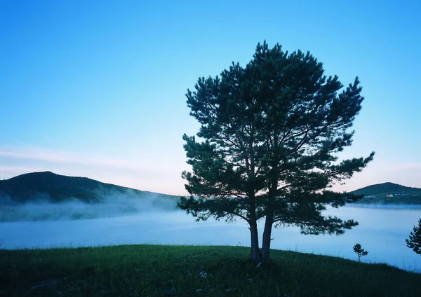 Krásný Výhled Mlžné Jezero — Stock fotografie