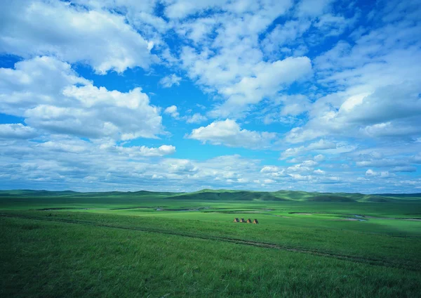 Peisaj Câmp Verde Cer Tulbure — Fotografie, imagine de stoc