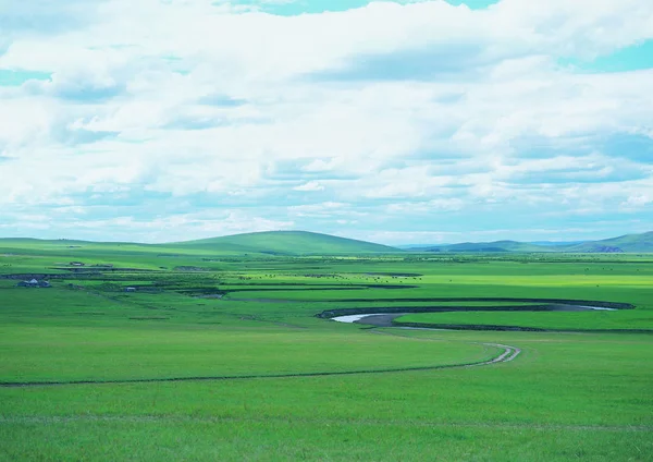 曇り空と草原の風景 — ストック写真