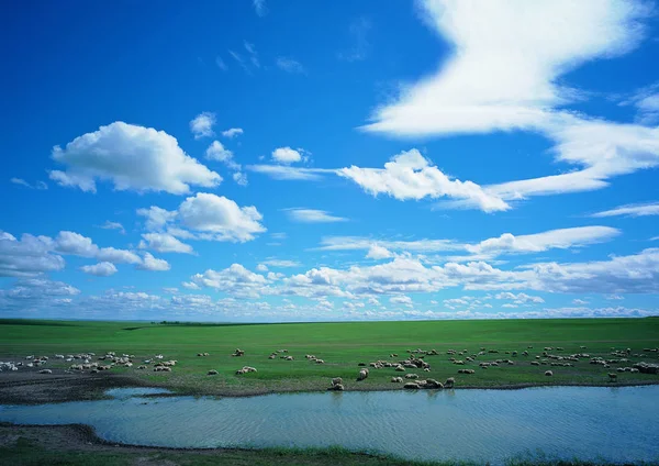 Paisagem Margem Rio — Fotografia de Stock