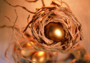 arka planda altın yumurta