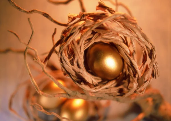 arka planda altın yumurta