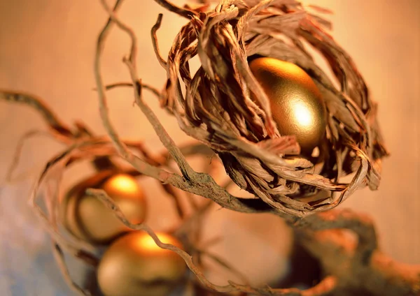 arka planda altın yumurta