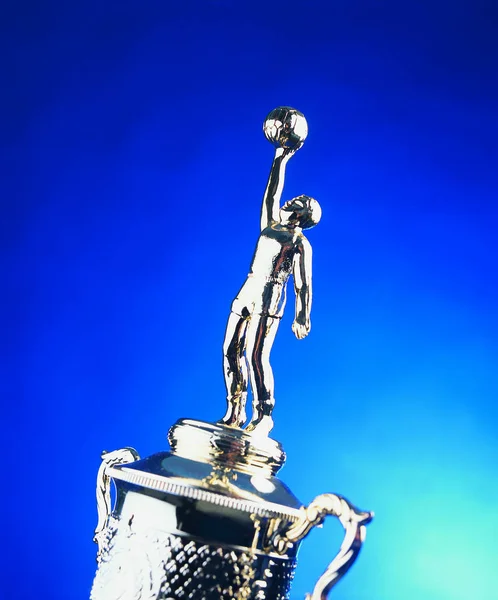 Close View Silver Trophy — Stock Photo, Image