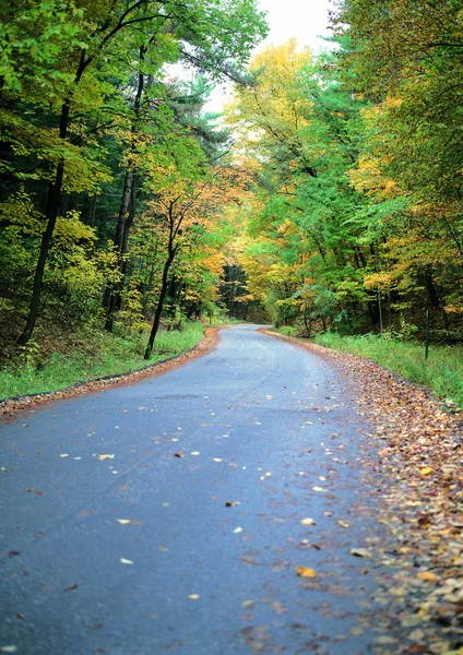 Malowniczy Widok Drogę Transportową Przechodzącą Przez Kolorowy Jesienny Park — Zdjęcie stockowe