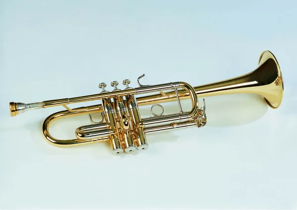 Trompet Görünümü Yakın — Stok fotoğraf