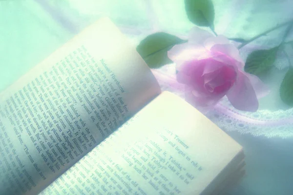 Vintage Book Pink Rose Flower — Stock Photo, Image