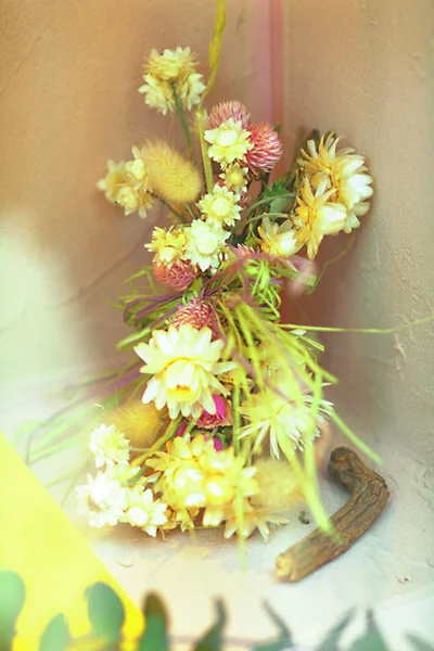 Gyönyörű Virágok Háttérben Közelről — Stock Fotó