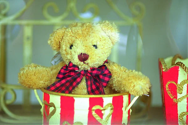 Teddy Bear Red Bow Ribbon — Stock Photo, Image