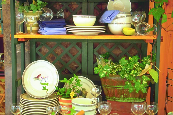 Készlet Különböző Ételeket Zöld Növények Cserépben — Stock Fotó
