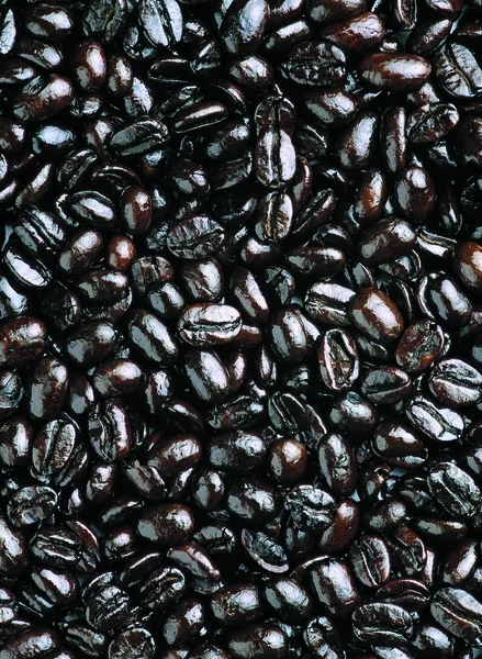 Close View Coffee Beans — Stock Photo, Image