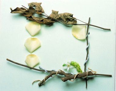 Dallardan ve taç yapraklarından yapılmış sanatsal çerçeve