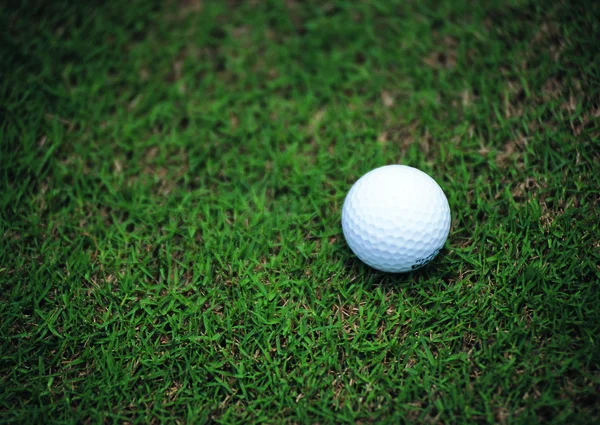 Primo Piano Della Pallina Golf Sul Campo Gioco — Foto Stock