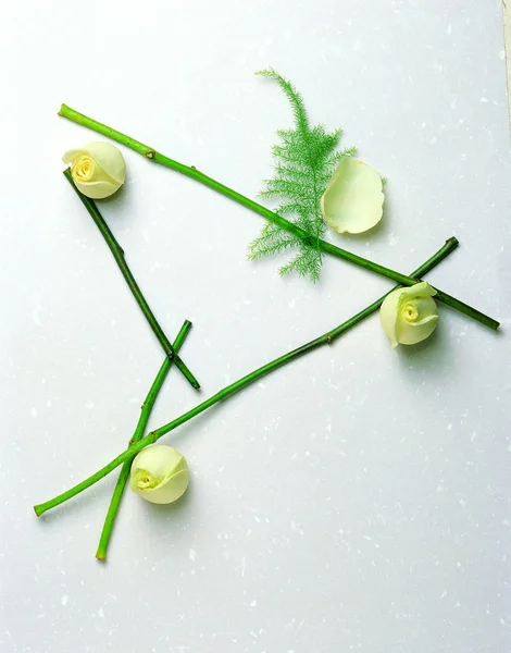 กรอบศ ลปะของดอกไม — ภาพถ่ายสต็อก