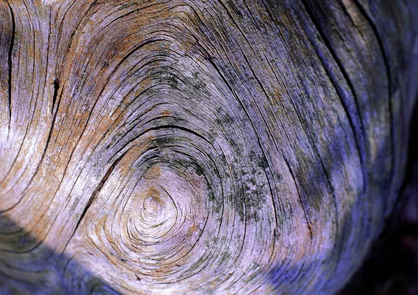 Closeup Wooden Pattern Nature Background — Stock Photo, Image